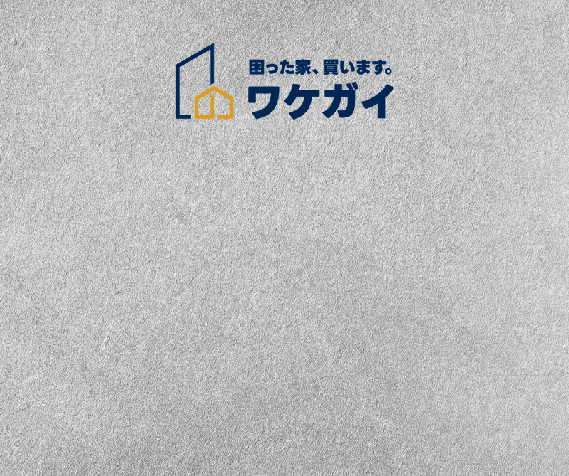 ワケガイの動画