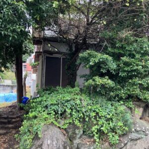 空き家の草刈り業者おすすめ1選!費用相場と失敗しない選び方を解説